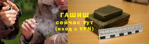 прущие грибы Волосово