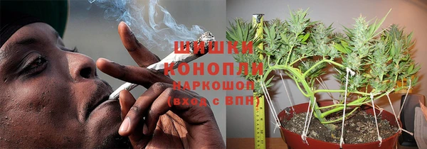 прущие грибы Волосово