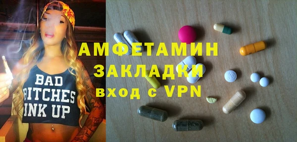 прущие грибы Волосово