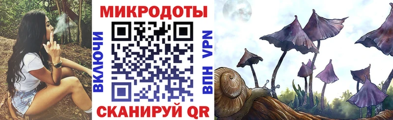 наркотики  Чистополь  Псилоцибиновые грибы Cubensis 